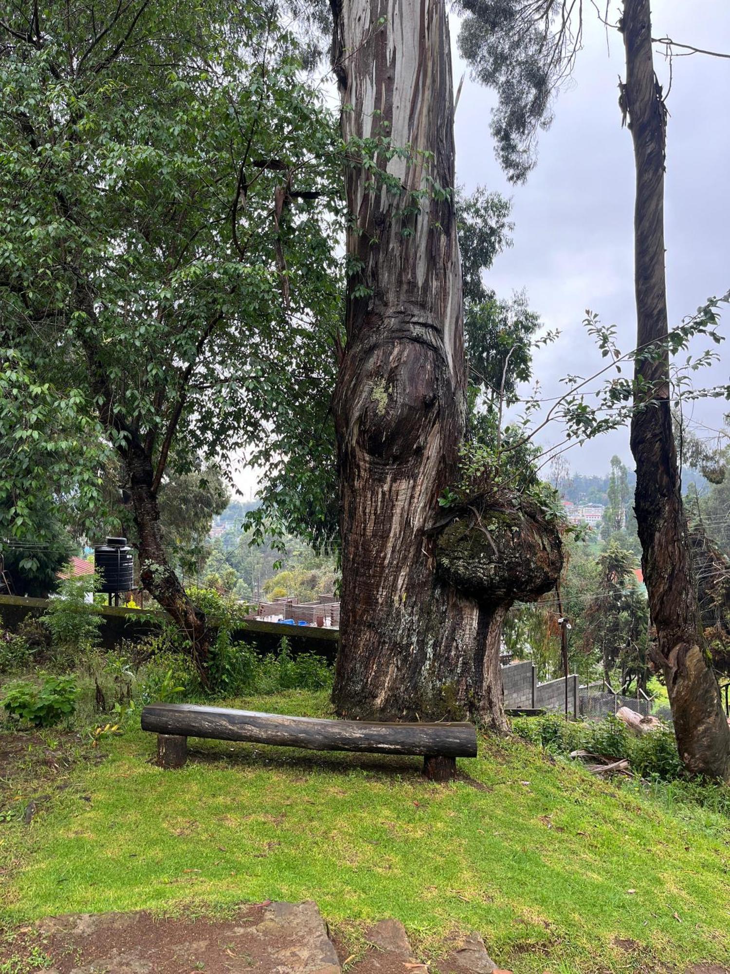 Springdale Villa Kodaikanal Exterior foto